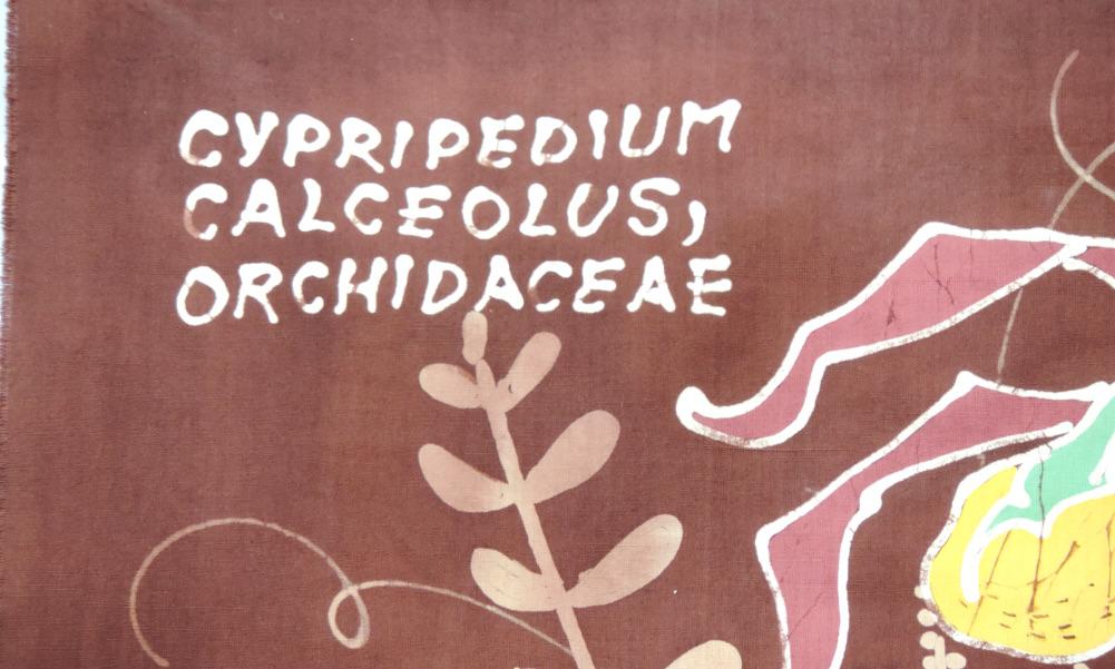Bilden visar Retro bonad batik orkidé – Gucksko Cypripedium text